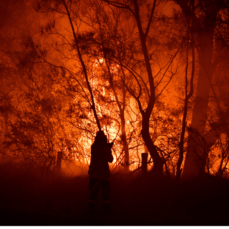 Black Summer - Batemans Bay bush fire